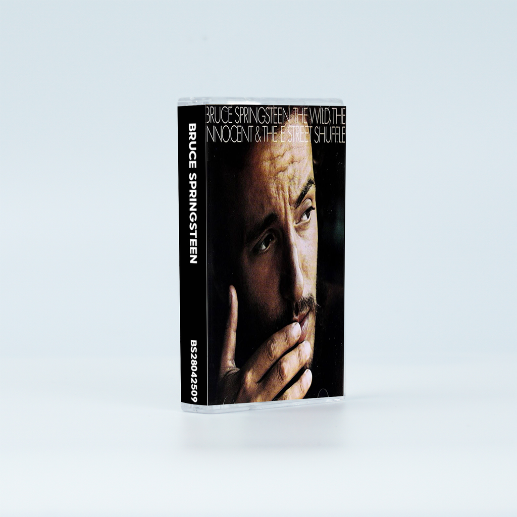 Bruce Springsteen Vintage Cassette Tapes | Tunnel of Love & Classic Rock Set