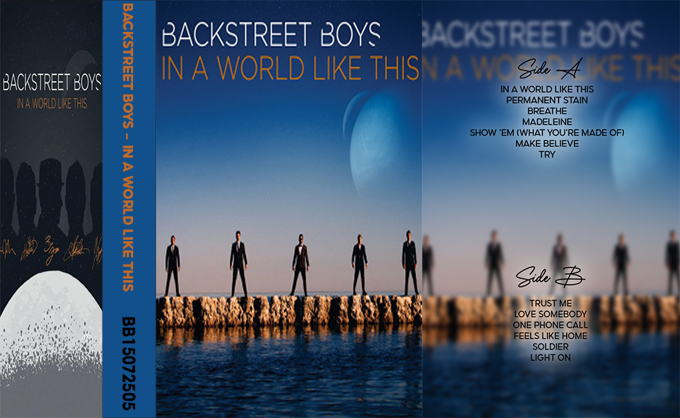 Backstreet Boys – In a World Like This Fanmade Analog Cassette Tape | Pop Dance Boy Band Collectible