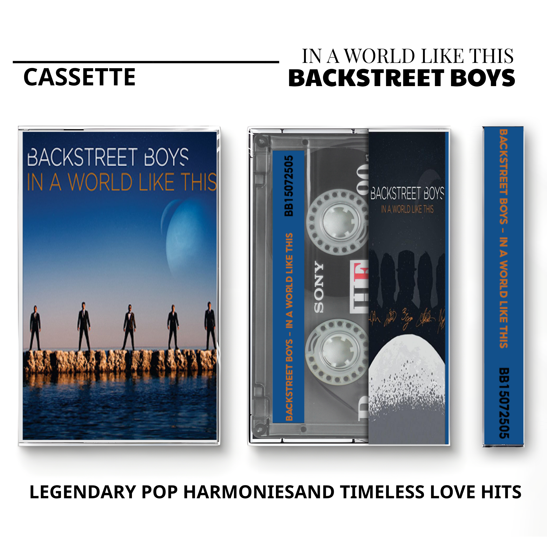 Backstreet Boys Vintage Cassette | Millennium, Black & Blue & Never Gone