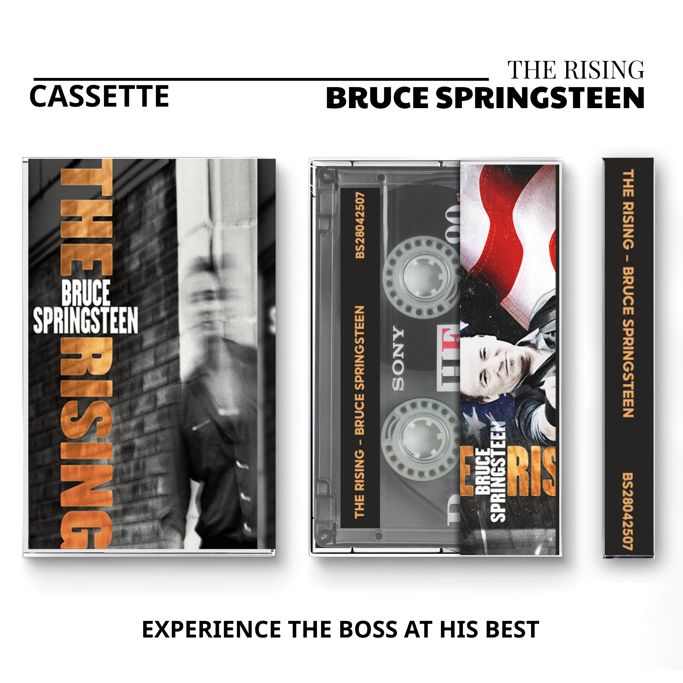 Bruce Springsteen Vintage Cassette Tapes | Tunnel of Love & Classic Rock Set