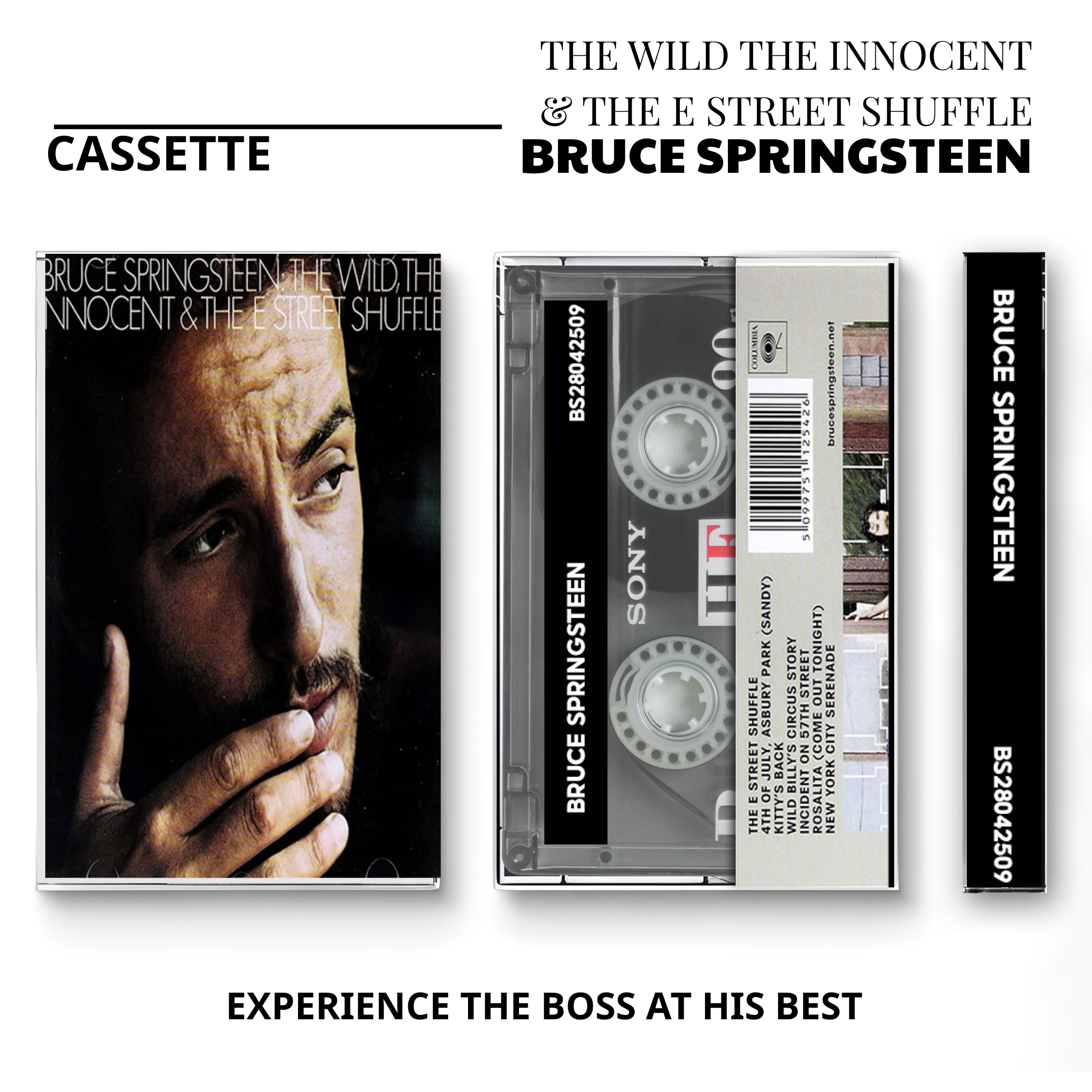 Bruce Springsteen Vintage Cassette Tapes | Tunnel of Love & Classic Rock Set