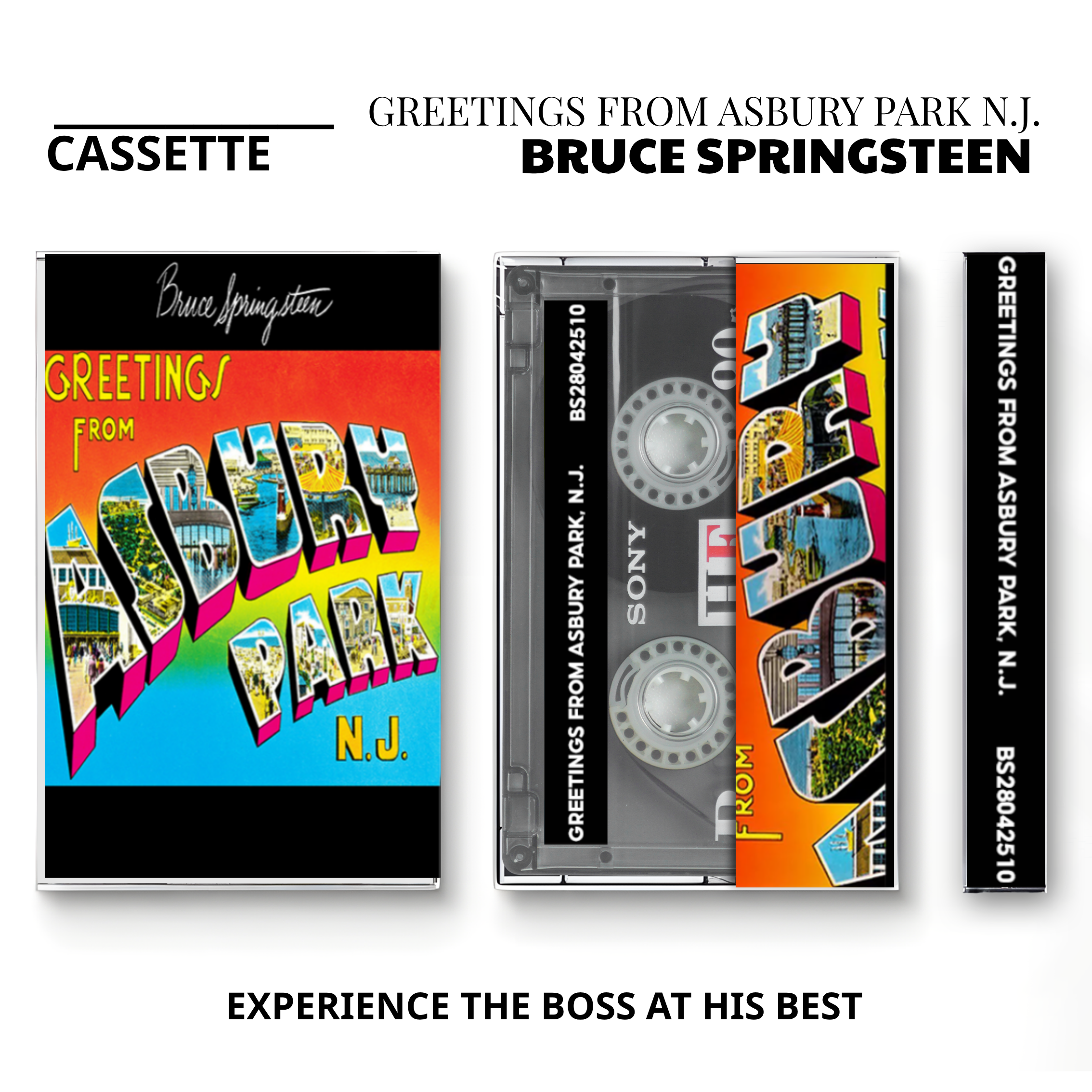 Bruce Springsteen Vintage Cassette Tapes | Tunnel of Love & Classic Rock Set