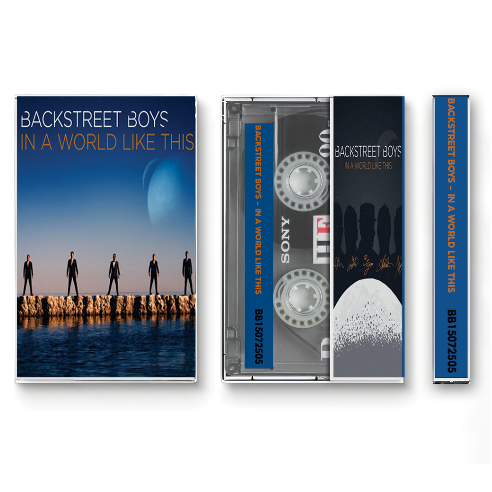 Backstreet Boys – In a World Like This Fanmade Analog Cassette Tape | Pop Dance Boy Band Collectible